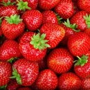 오복과일 이미지