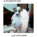 부영식당 이미지