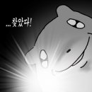 연뷰티앤바디