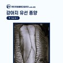 동두천 메디컬 센터 이미지