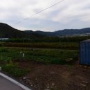 보성공인중개사사무소 이미지