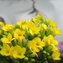 행복노인복지센터 화장실 이미지