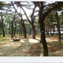 섬진강 테마로드2(두꺼비바위쉼터) | [스크랩] 하동 섬진강100리테마로드 도보＞길동무프로그램 후기(1부)