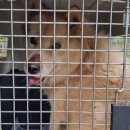 화신약국 이미지