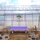 하리 농장 이미지