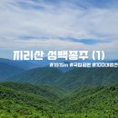 [100대명산] 여름산행 1박 2일 지리산 성백종주 후기 및 타임라인 (1탄 : 노고단 ~ 반야봉 ~ 세석)