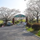 노미목장 이미지