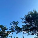 임진물새롬센터 오토캠핑장 이미지