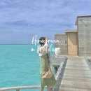 몰디브 신혼여행 DAY 1. 쿠다빌링길리, 온전히 행복했던 인생 여행지! 그 첫째날의 일기