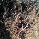 별마을농장 이미지