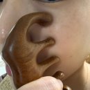 로즈힐 | 페이스오일 추천 미즈허브 아베아 로즈힐 후기