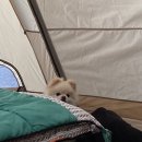 산들바다관광농원