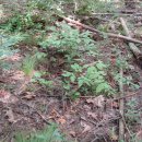 우리마당 이미지