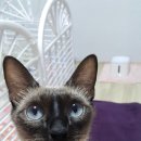 엄마와아들 이미지