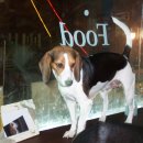 신사2-011 이미지