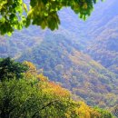 충남 계룡산 갑사~제6교구 마곡사 수 말사~~28 이미지