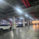 반도보라여자경로당 | 2동탄퍼스널컬러전문 청계동미용실 준오헤어 가서 염색 후기