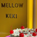 Mellow Keki(멜로우케키) 이미지