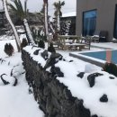 동복에 머물다 이미지