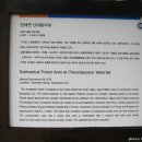 천제연 담팔수나무 이미지