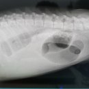 테크노연합 동물병원 이미지