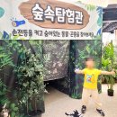 여주박물관화장실 | [부산] 동부산 롯데아울렛 여주곤충박물관 후기｜아이랑 곤충·파충류 체험