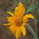 핸드드립 홈카페 이미지