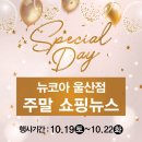 뉴코아미소페
