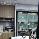 심바동물병원 | 서초구 방배동 동물병원 심바동물병원 위치 오는길 후기
