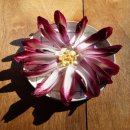 아틴 마루 이미지