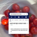 베데스다한의원 | 아인병원 수술 전 검사 후기 및 수술을 앞두고 . . .