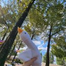 선유제3호어린이공원 | 8주차 블챌 나도 이제 슬슬 네이버페이를 줬음 해 : 선유도원축제 후기 2일차