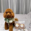 더야무지개 이미지