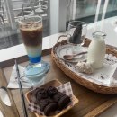 카페돌