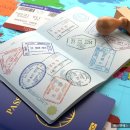 S.K 행정사 이미지