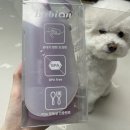 퍼플댕댕 이미지