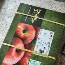 일송환경 이미지