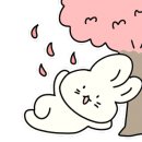 조이펫살롱 이미지