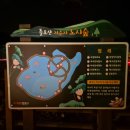 틀모산 도시숲 이미지