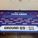 PLAY인형 | [COSS 서포터즈 3기] PLAY BATTLE GROUND 후기