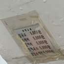 씨유 경주시래불국점 | 시간이 천천히 흐르는 도시, 경주에서의 기록