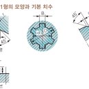 스플라인