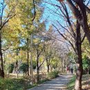 죽림 근린공원 이미지