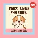 (주)케이엠교정덴탈 | 강아지 입냄새 원인부터 제거까지, 집에서 바로 해결하는 완벽 구강관리 실전법