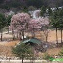 살둔정보화마을 이미지