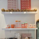 오솔라(OSOLAR) 이미지