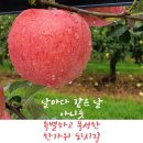 유애플 이미지