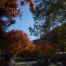 개운중학교 이미지