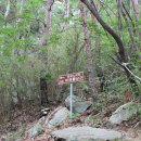 칠곡 노석리 마애불상군 이미지