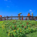 청솔농원 이미지